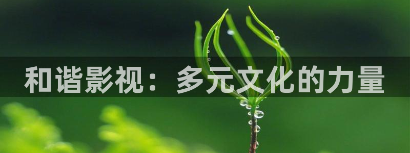 欧美影院草草影院：和谐影视：多元文化的力量