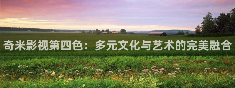 欧美影院午夜免费看：奇米影视第四色：多元文化与艺术的完美融合
