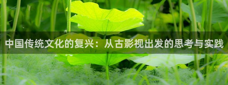 欧美影院第一区：中国传统文化的复兴：从古影视出发的思考与实践