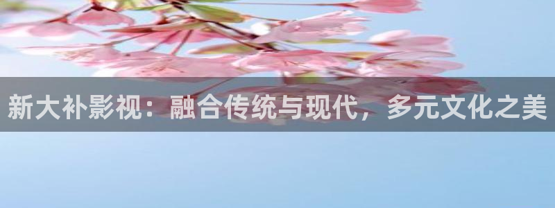 欧美影院首页在线播放：新大补影视：融合传统与现代，多元文化之美