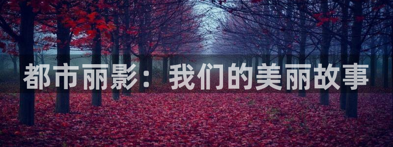 东方影视天天欧美影院：都市丽影：我们的美丽故事