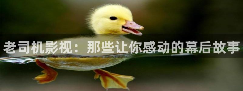 欧美影院不卡：老司机影视：那些让你感动的幕后故事