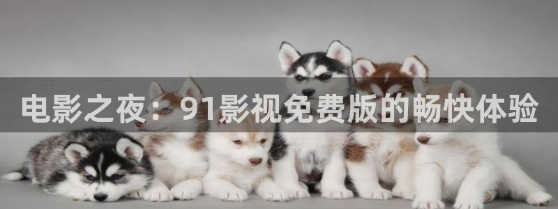 大香欧美影院：电影之夜：91影视免费版的畅快体验