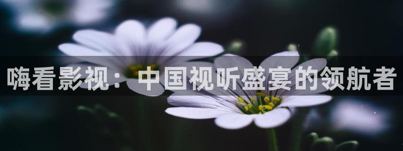 在线欧美影院：嗨看影视：中国视听盛宴的领航者