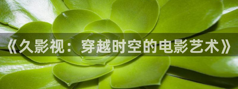 www欧美影院：《久影视：穿越时空的电影艺术》
